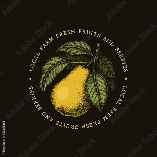 Vintage pear illustration