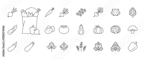 Vegetable, line icons - carrot, beet, onion, garlic, potatoes, pumpkin, cabbage, broccoli, pepper, zucchini, parsley, dill, cilantro and others. Full grocery bag. Linear illustration, editable stroke