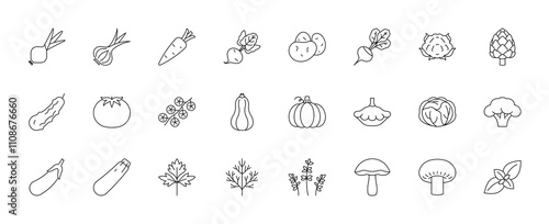 Vegetable, line icons. Big set with onion, garlic, carrots, potatoes, cucumber, tomato, pumpkin, eggplant, cabbage, broccoli, mushrooms, parsley, dill, thyme, basil, artichoke. Linear illustrations