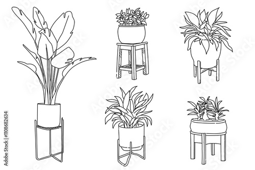 Set of plant in pot hand drawn vector illustrations house plant, home decoration, stand up pot for plant