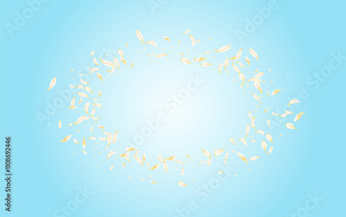 yellow_petals_blue_background_601.eps