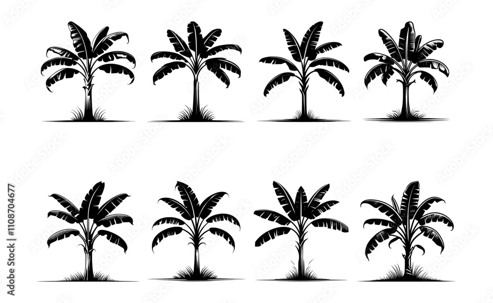 Fototapeta premium banana tree silhouette set, isolated background