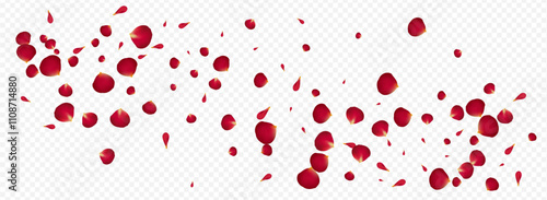 Red_Petal_Vortex_Flying_Vector_Transparent_Background_92.eps