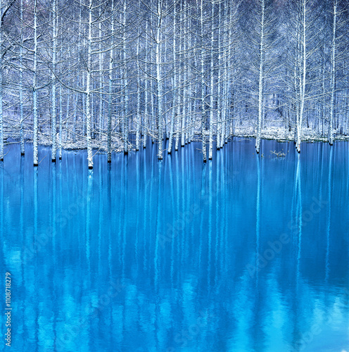 青い池とカラマツ（美瑛町）