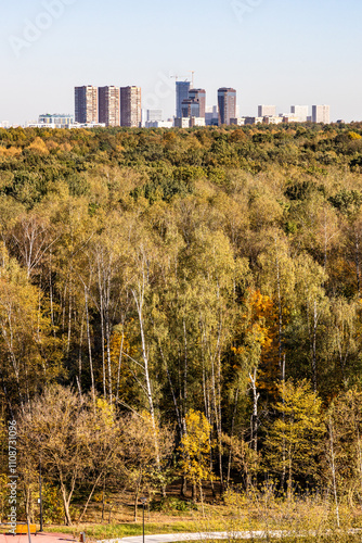 Photography colorful city park and skyscrapers on horizon
