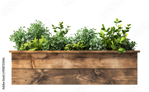 green fresh plants in wooden planter box, white transparent background. cutout