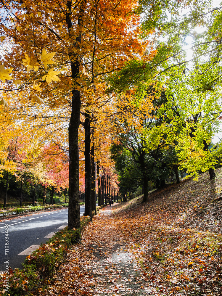 紅葉の住宅地