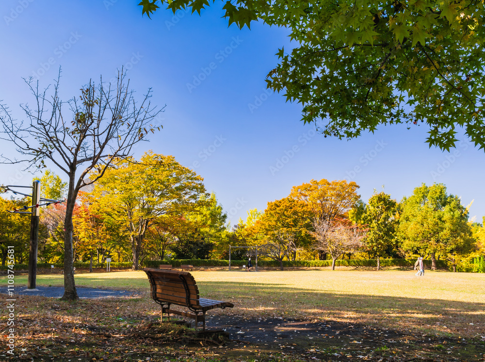 郊外の住宅地 紅葉の公園