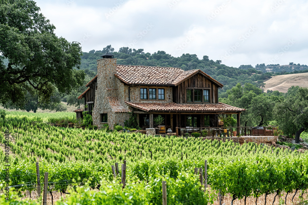 Countryside scene with rolling vineyards and a rustic farmhouse Countryside scene with rolling vineyards and a rustic farmhouse