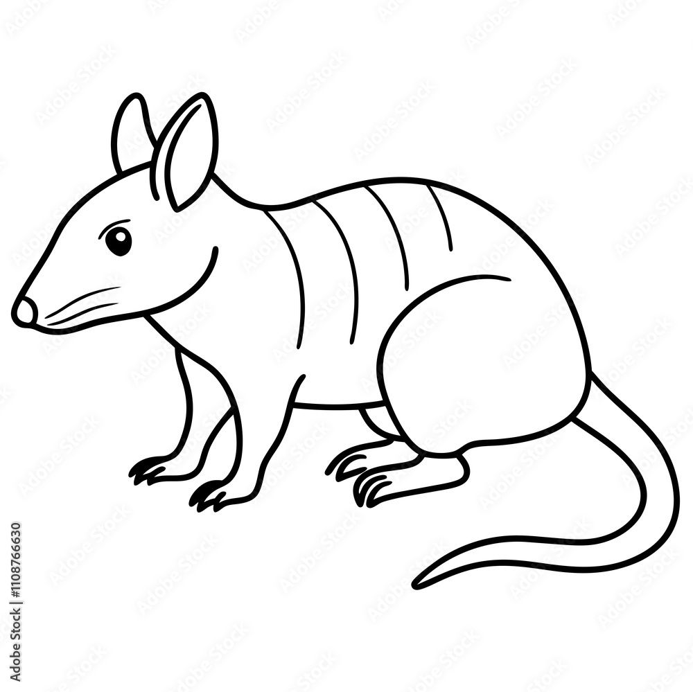 illustration of a squirrel illustration of a squirrel