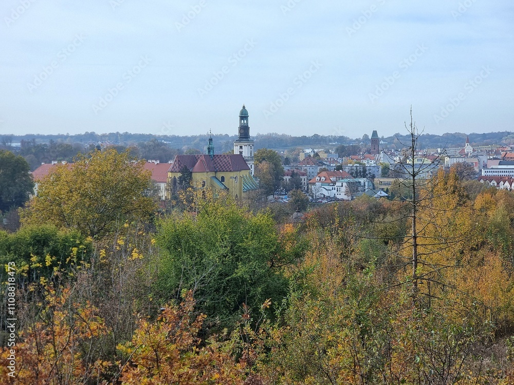 Monastery and Basilica in Trzebnica seen from the Trzebnickie Hills