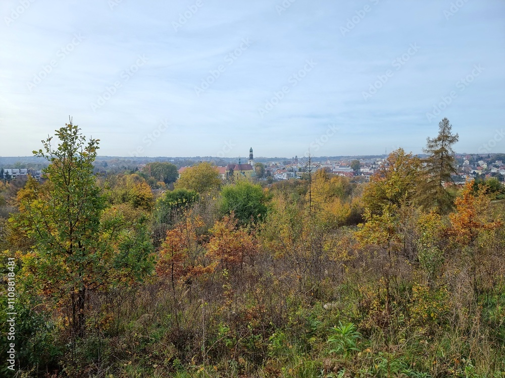 Panorama of Trzebnica from Trzebnicki Hills