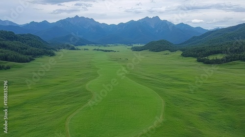 Wallpaper Mural Serene Green Valley Meadow Landscape with Mountain Range Background Torontodigital.ca