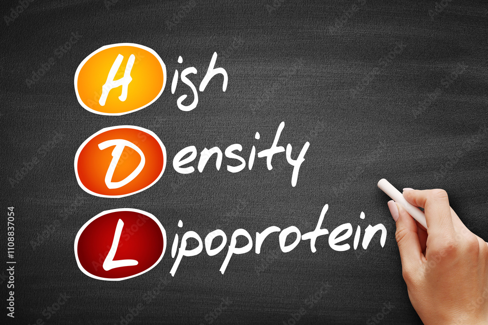 Obraz premium HDL - High-density lipoprotein, acronym health concept on blackboard