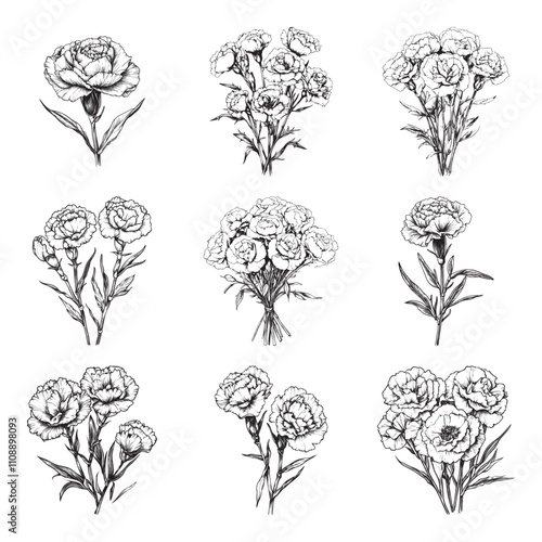 Set of carnation vector illustrations - hand drawn carnation - black and white carnation isolated on white background