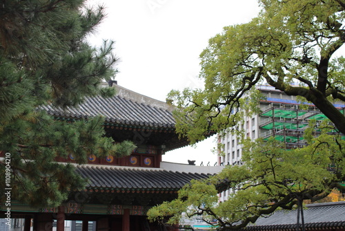 Changgyeonggung Palace and modern building, Seoul, South Korea