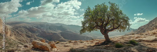 Tree Day in Jordan. a lonely tree. A tree in the mountains