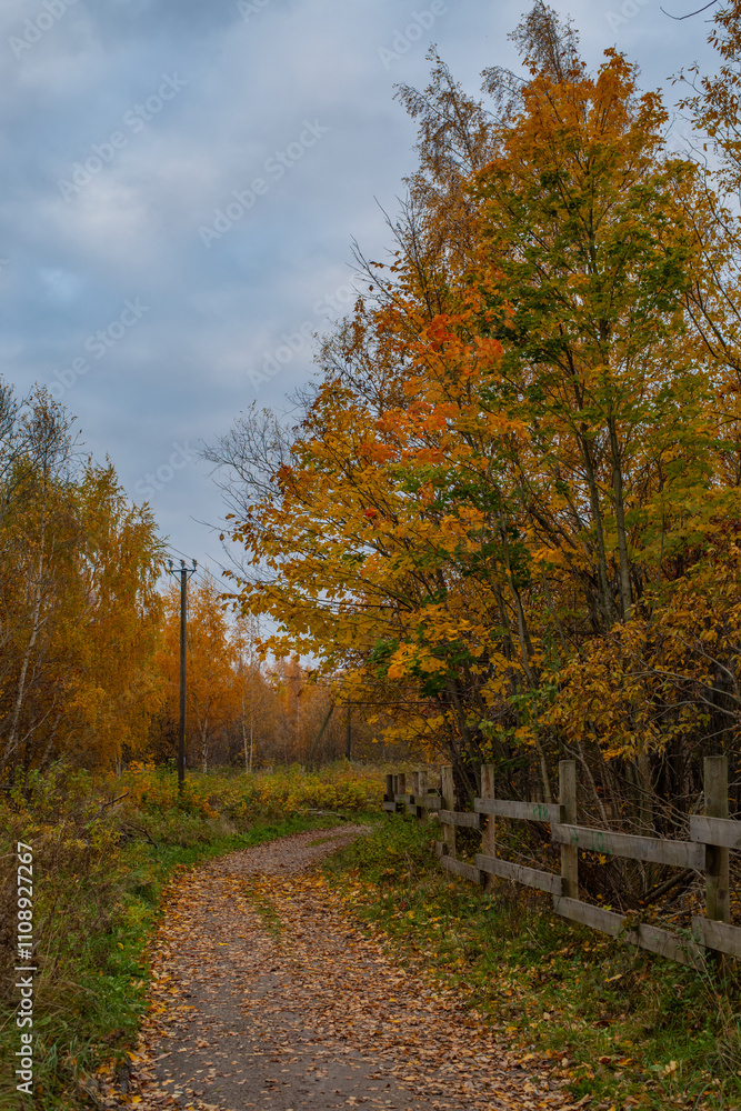 Fototapeta premium A narrow gravel path winds through the scene, bordered by wooden fencing on the right and a mix of grass and sparse vegetation on the left. Autumn landscape at Paljassaare Peninsula, Tallinn, Estonia.