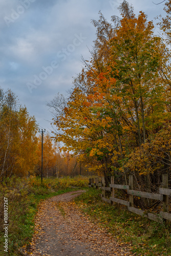 A narrow gravel path winds through the scene, bordered by wooden fencing on the right and a mix of grass and sparse vegetation on the left. Autumn landscape at Paljassaare Peninsula, Tallinn, Estonia. photo