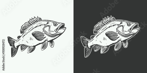 Vintage retro jand drawn engraving illustration of cod fish animal