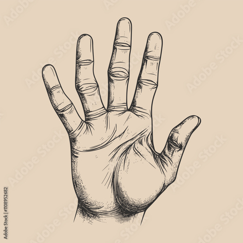 Vintage retro engraving woodcut style sketch draw paint of hand artm with 5 fingers palm illustration photo