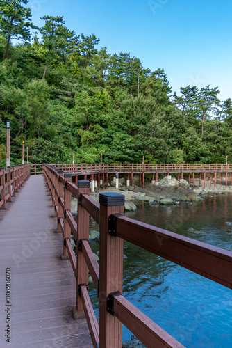 Beatuful Landscape with sea, water, trees, bridge and blue sky in South Korea photo