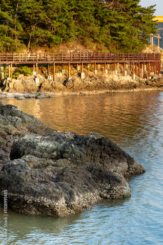 Beatuful Landscape with sea, water, trees, bridge and blue sky in South Korea photo