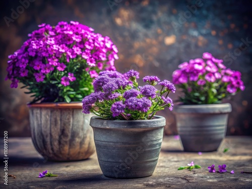 Wallpaper Mural Vintage Rustic Purple Flowers in Gray Pots - Stone Background Stock Photo Torontodigital.ca