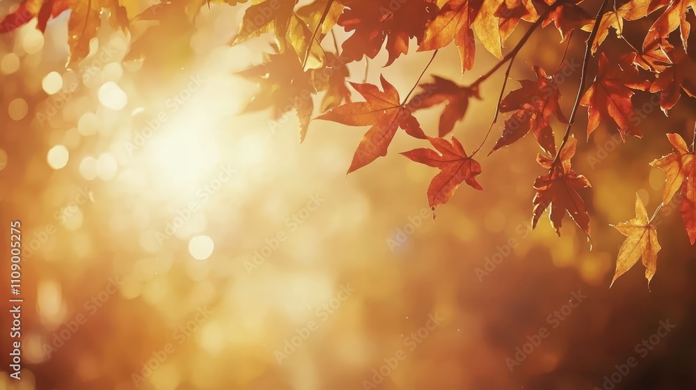  a tree branch with red maple leaves illuminated by the sun, creating a beautiful autumnal scene The background is blurred, giving the image a dreamy, ethereal feel