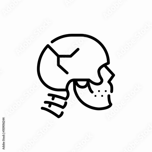 human skull icon sign vector