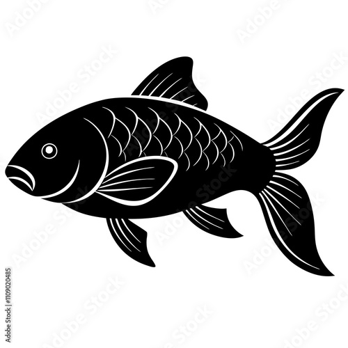 fish on a white background