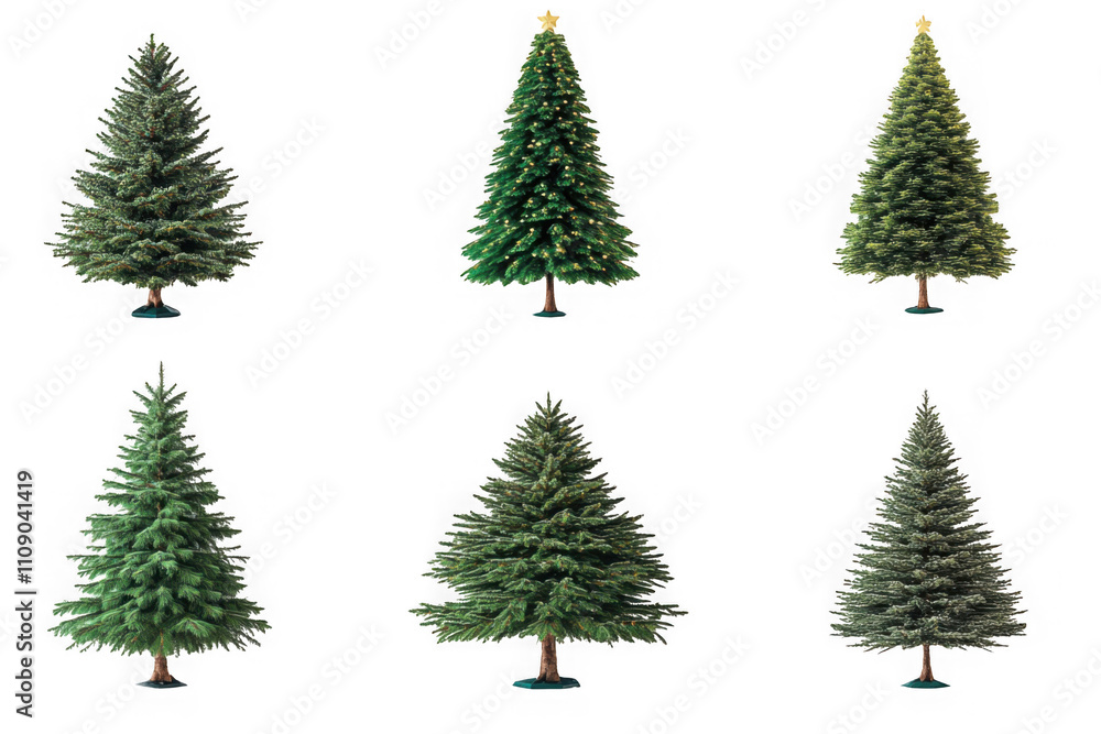 Obraz premium Christmas trees in various natural styles with green and frosted branches, ideal for festive decorations, seasonal projects, and transparent PNG uses.
