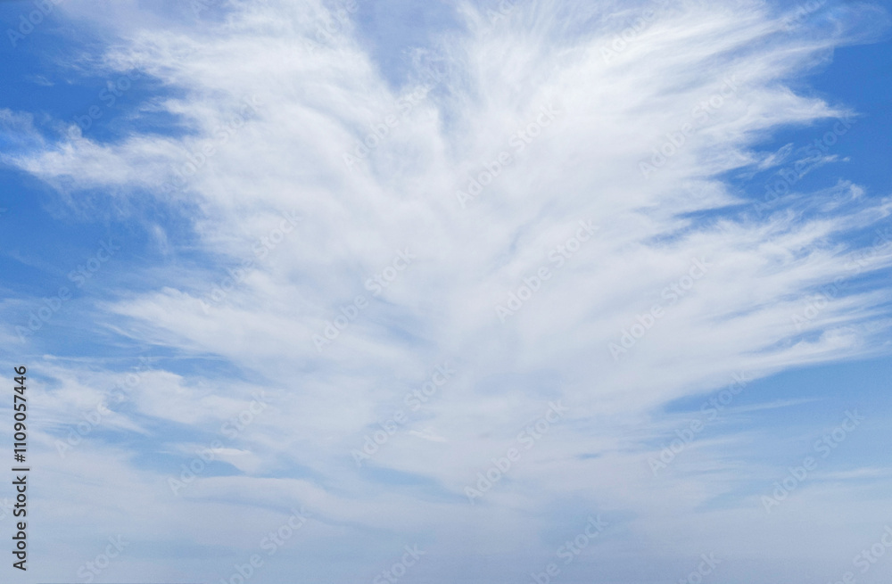 Fototapeta premium White cloud cirrus in sky