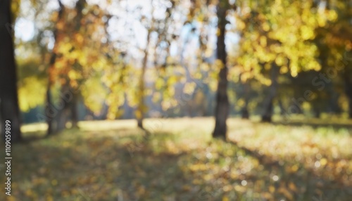 Serene Autumn Forest Scene Capturing Sunlit Yellow Leaves in Sharp Focus with Soft Blurred Background, Ideal for Nature Blogs, Meditation Themes, or Seasonal Marketing Concepts