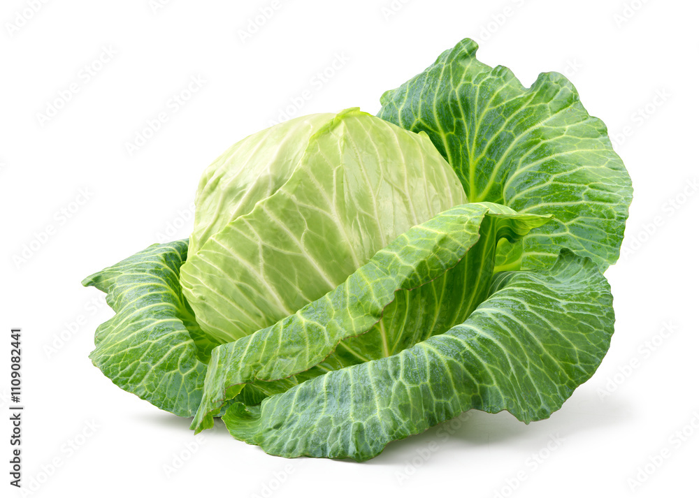 Fototapeta premium Fresh cabbage isolated on white background. Clipping path.