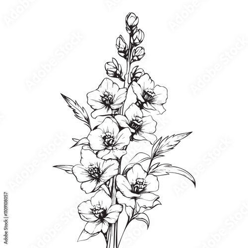 Delphinium vector illustrations - hand drawn delphinium - black and white delphinium isolated on white background	
