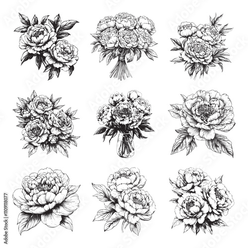 Set of peonies vector illustrations - hand drawn peonies - black and white peonies isolated on white background
