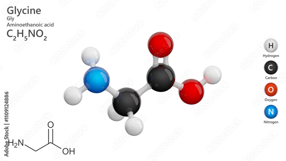 Molecule: Glycine (Gly or G). Non-essential amino acid. Molecular structure. Formula: C2H5NO2. Chemical model: Ball and stick. White background. 3D illustration. Molecule: Glycine (Gly or G). Non-essential amino acid. Molecular structure. Formula: C2H5NO2. Chemical model: Ball and stick. White background. 3D illustration.