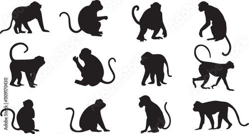 Silhouette of monkey. Animal genus of primates