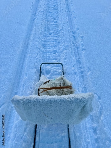 Winter day on the kicksled photo