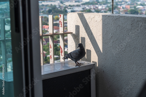 A pigeon is perched on a ledge next to an air conditioner