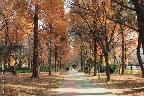 가을 창원 단풍