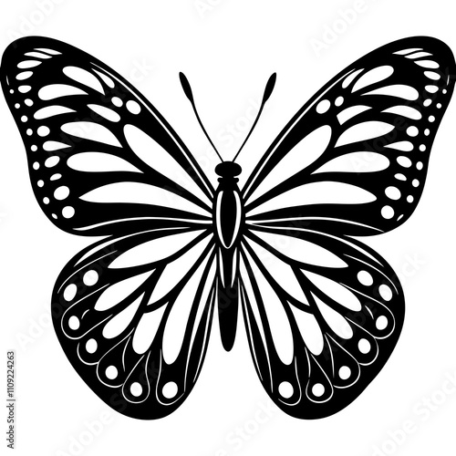 butterfly vector