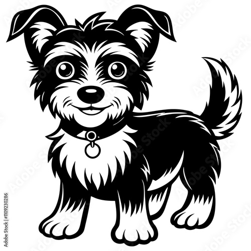 black and white dog