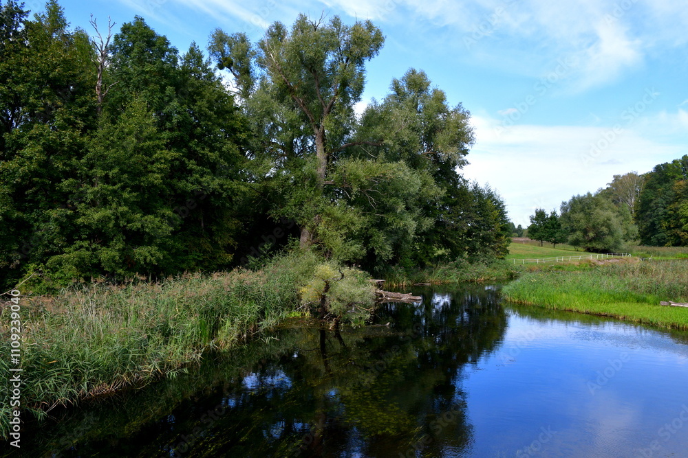 Fototapeta premium A view of a shallow yet vast pond or lake flowing next to vast fields covered with herbs, reeds, and various crops located next to some tiny forests and moors spotted on a cloudy summer day in Poland