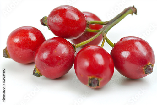 Fresh red rose hips gathered from a bush in autumn photo