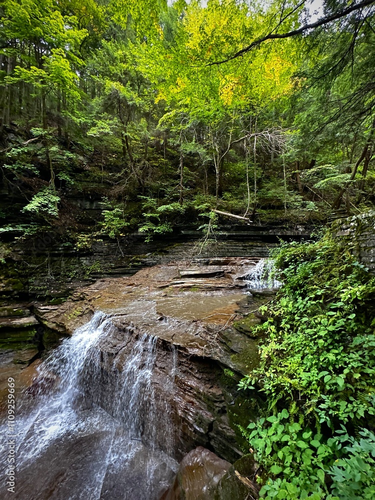Waterfalls cutting through the forest (Buttermilk State Falls Park, New York, USA) Waterfalls cutting through the forest (Buttermilk State Falls Park, New York, USA)