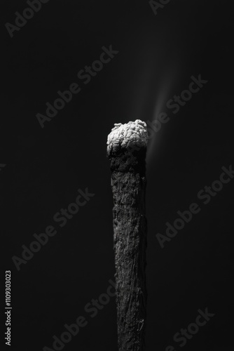 Close-Up of Matchstick on Dark Background in Minimalist Style
 photo