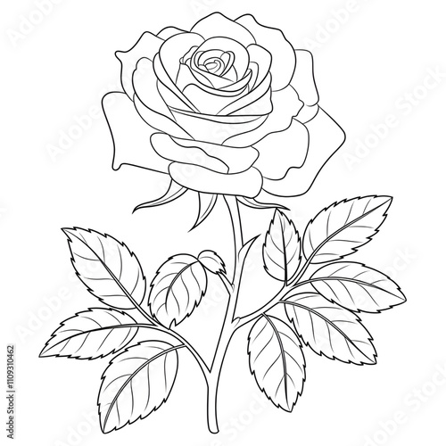 rose coloring page line art 