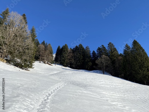 Wonderful winter hiking trails and traces over the Lake Walen or Lake Walenstadt (Walensee) and in the fresh alpine snow cover of the Swiss Alps, Walenstadtberg - Canton of St. Gallen, Switzerland photo